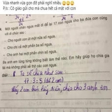 Bài toán "17 con ngựa chia đều cho 3 anh em", lời giải của bạn nhỏ khiến netizen thán phục