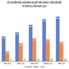 Nhìn lại tình hình dịch COVID-19 tại Việt Nam tuần qua