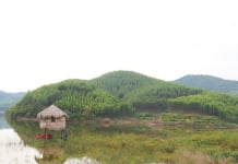 'Siêu' dự án nghĩa trang ở Bắc Giang: Nguy cơ xóa sổ hàng trăm ha rừng