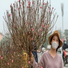 Tết Nguyên đán năm 2023, người lao động được nghỉ 7 ngày