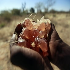 Nguyên liệu sản xuất quan trọng 'mắc kẹt' trong khủng hoảng Sudan