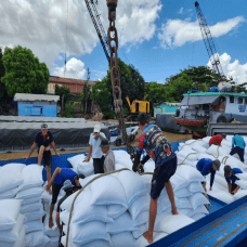 Thế giới thiếu 7 triệu tấn gạo, cơ hội cho Việt Nam