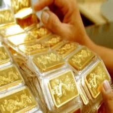 Đấu thầu thành công 3.400 lượng vàng
